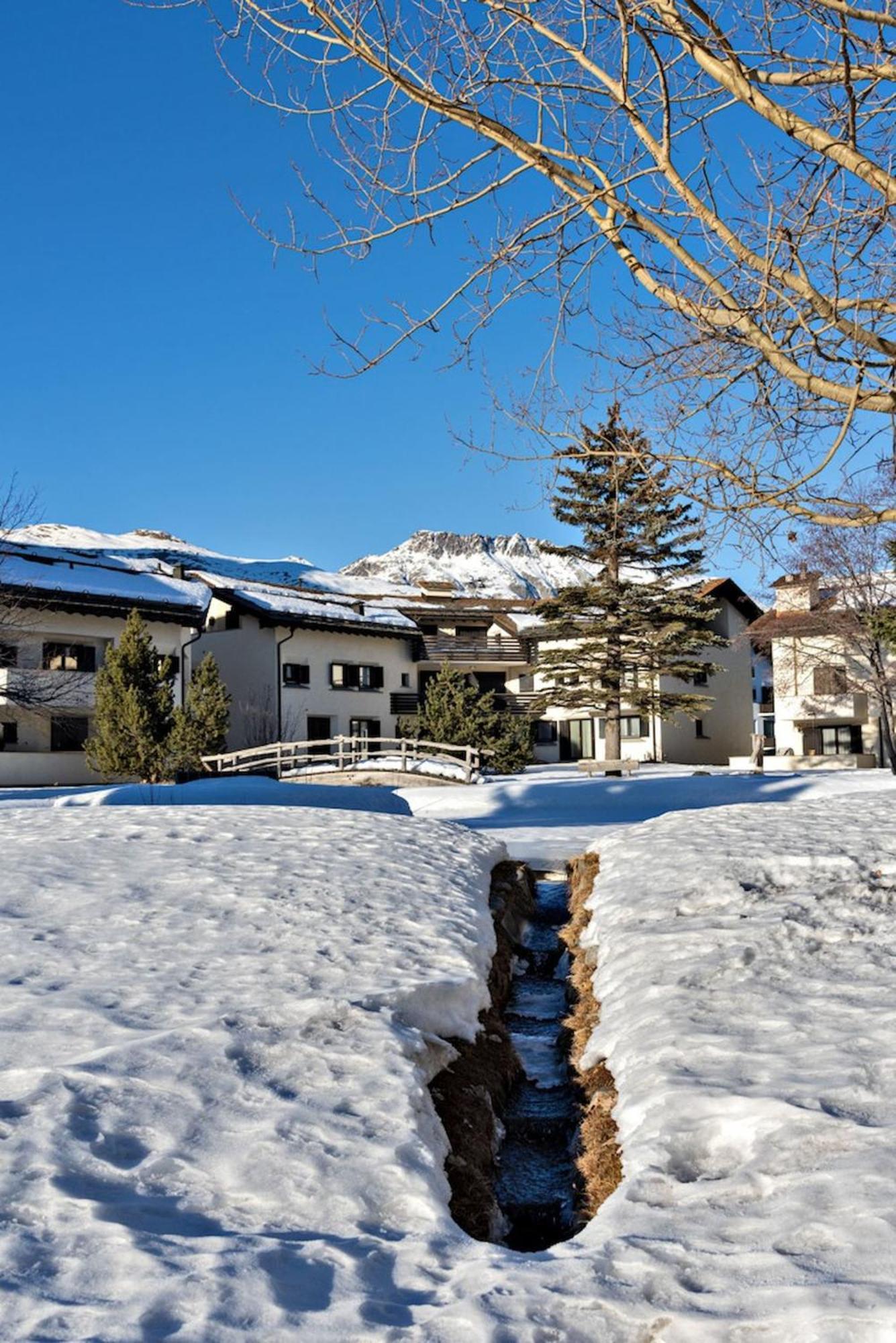 Apartamento Chesa Chavriol - Celerina Celerina/Schlarigna Exterior foto
